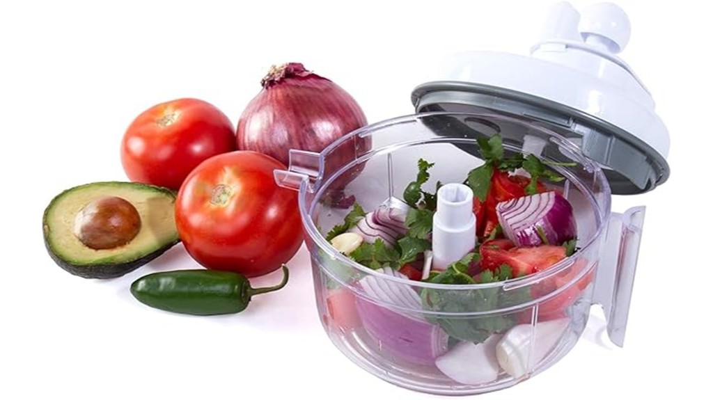 salsa master food processor